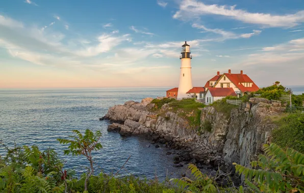 Sea, clouds, house, blue, palm trees, rocks, shore, lighthouse