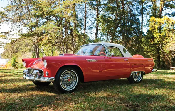 Ford, Ford, 1965, retro cars, Thunderbird, retro cars, Ford Thunderbird Convertible