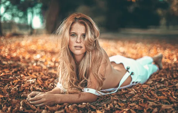 Picture leaves, freckles, sponge, Agustina