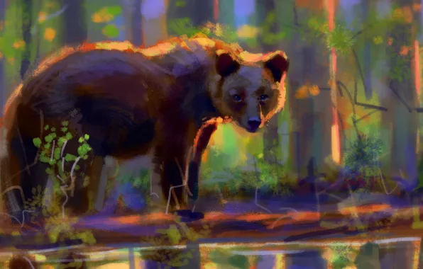 Forest, bear, pond, by Meorow