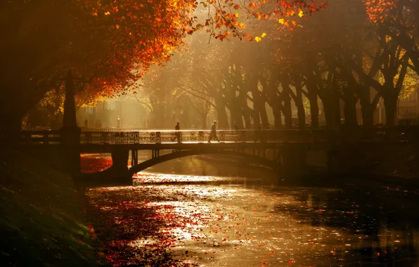 Picture autumn, trees, bridge, channel, Dusseldorf, Königsallee