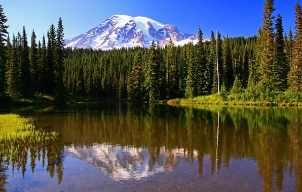 Forest, mountains, nature, river, Mt.Rainier National Park, WA Reflection Lake