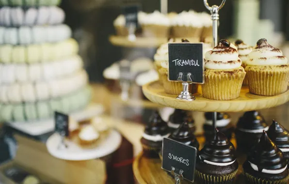 Chocolate, cream, sweet, cupcakes