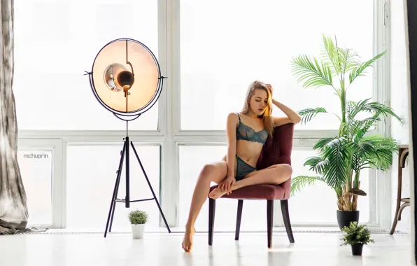 Sexy, pose, model, panties, Windows, lamp, plants, chair