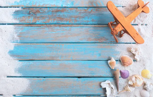Picture sand, shell, starfish, the plane