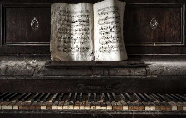 Notes, music, piano