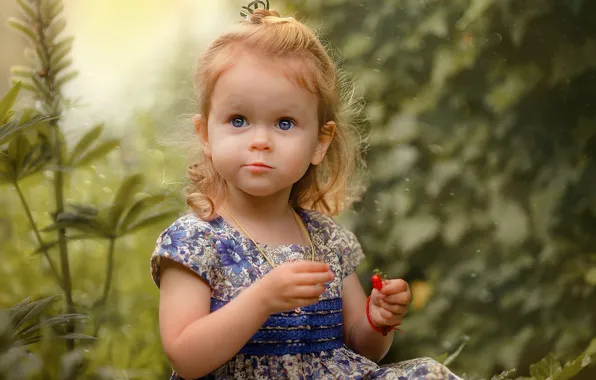 Picture summer, nature, berries, dress, girl, baby, child