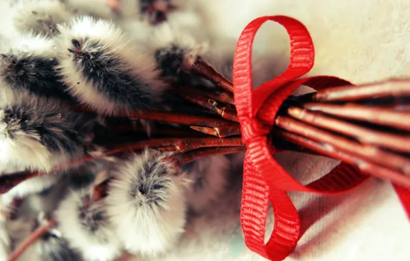 Picture Verba, palm Sunday, a red ribbon