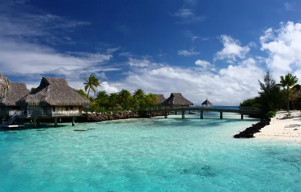 Picture sea, beach, nature, palm trees, house