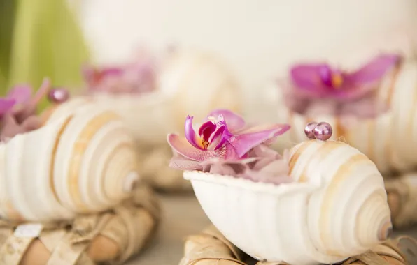 Picture flower, shell, Orchid, beads