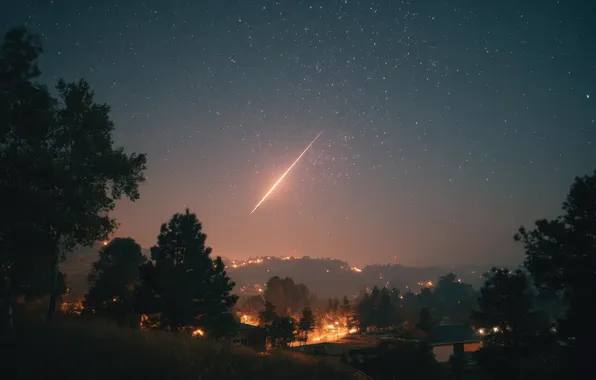 Forest, the sky, space, stars, trees, flight, night, lights