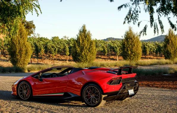 Lamborghini, supercar, Spyder, 2018, Performante, Huracan, North America version