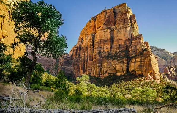 Picture autumn, the sky, trees, mountains, rocks
