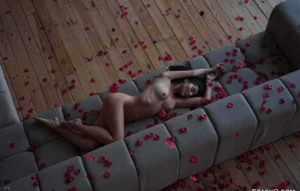 Ass, ass, chest, naked, tummy, barefoot, figure, brunette