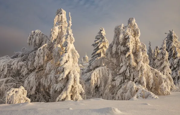 Picture winter, snow, trees, landscape, nature, ate, temple, the monastery