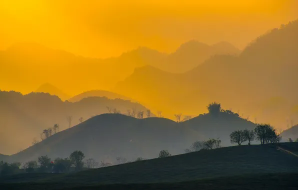Picture field, forest, trees, mountains, fog, sunrise, morning, Vietnam
