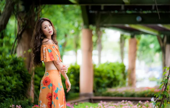 Look, girl, hair, brown hair, Asian, cutie, bokeh