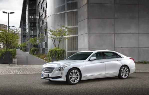 Cadillac, sedan, Cadillac, CT6