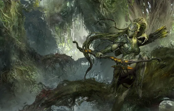 Forest, Ranger, dongbiao lu, bow and arrow