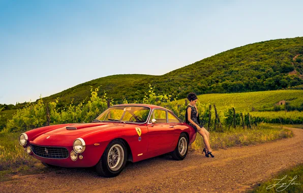 Picture road, girl, the vineyards, Ferrari 250