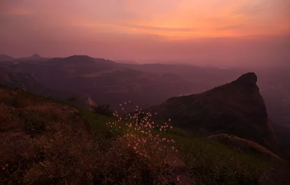 Picture the sky, grass, clouds, sunset, mountains, fog, hills, tops