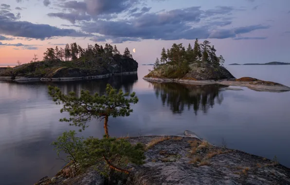 Picture summer, trees, landscape, nature, stones, the moon, Lake Ladoga, Ladoga