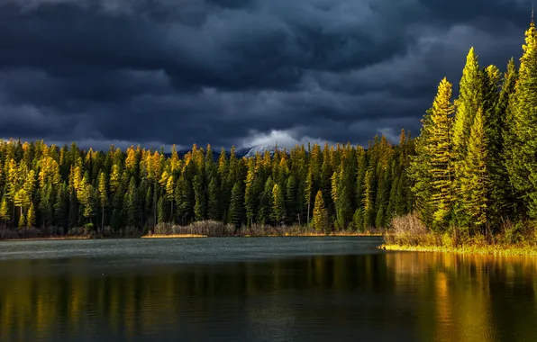 Autumn, forest, the sky, light, trees, clouds, lake, shore