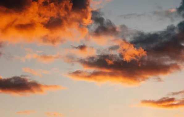 The sky, clouds, sunset, the evening