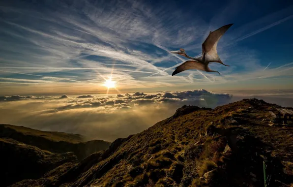 The sky, flight, sunset, rendering, dinosaur, pterodactyl, prehistoric animal