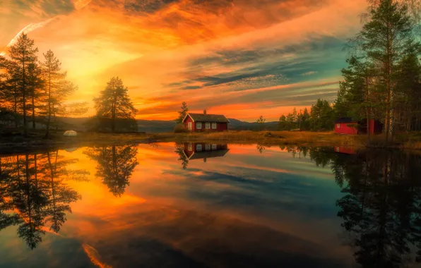 Trees, sunset, lake, reflection, home, Norway, Norway, RINGERIKE