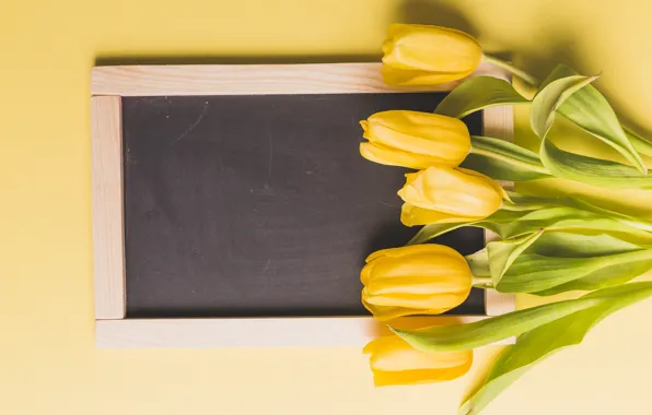 Flowers, yellow, Board, bouquet, spring, frame, tulips, fresh