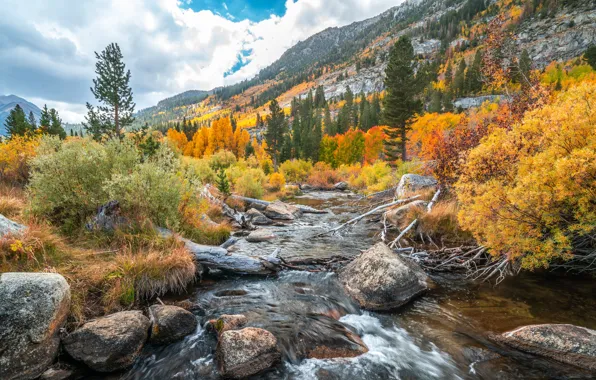 Picture CA, USA, Eastern Sierra