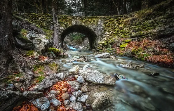 Picture forest, trees, bridge, nature, river, stones, France, slope