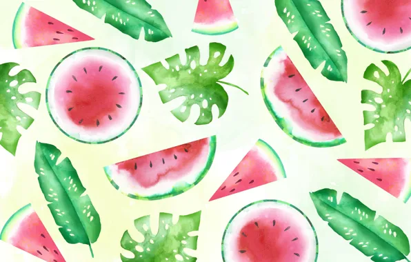 Leaves, texture, watermelon, pieces, fruit, light background, circles, watermelons
