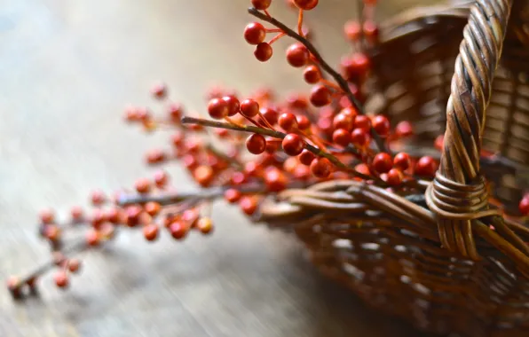 Macro, berries, basket