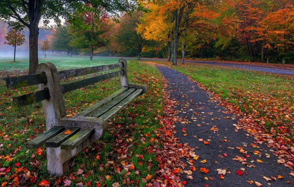 Picture autumn, grass, leaves, trees, bench, nature, Park, colors