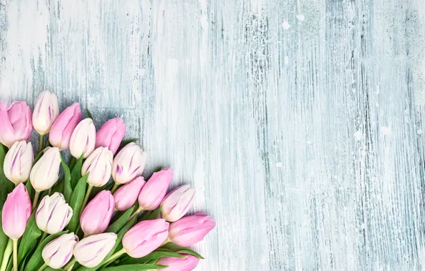 Picture flowers, bouquet, tulips, pink, wood, pink, flowers, beautiful
