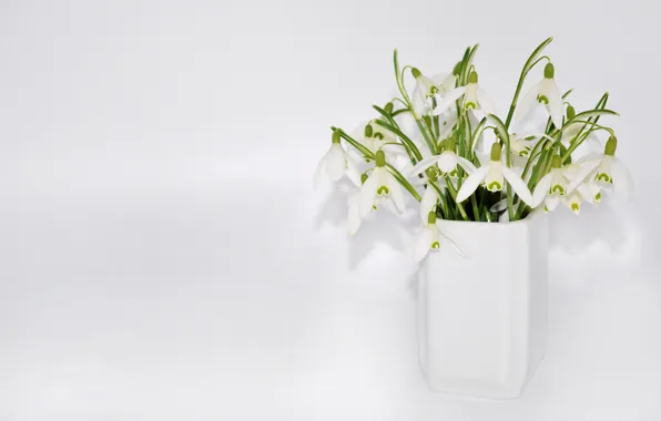 Flowers, bouquet, spring, snowdrops, white background, vase, white