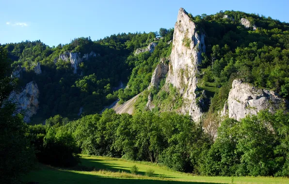 Greens, forest, the sun, mountains, nature