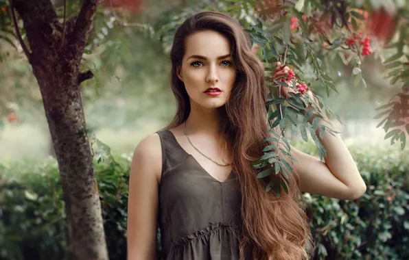 Look, girl, nature, pose, Park, berries, tree, foliage