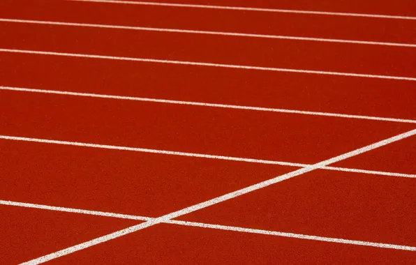 Picture line, background, color