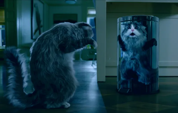 Picture fantasy, Comedy, family, Nine Lives, Nine lives