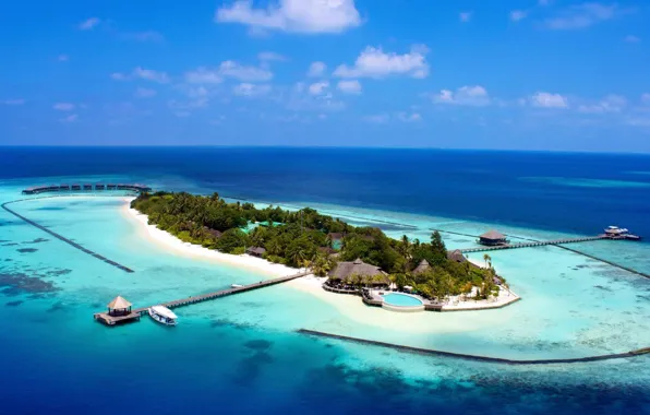 Palm trees, the ocean, island, The Maldives, resort, Laguna