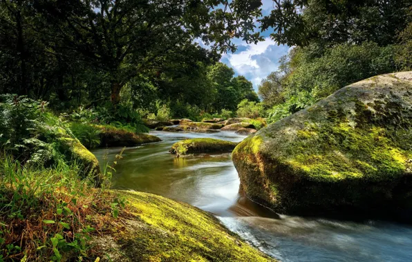 Landscape, nature, river, stones, beauty, stream, thresholds