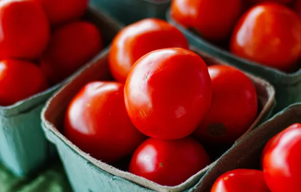 Macro, red, tray, vegetables, tomatoes, tomatoes, bokeh, trays