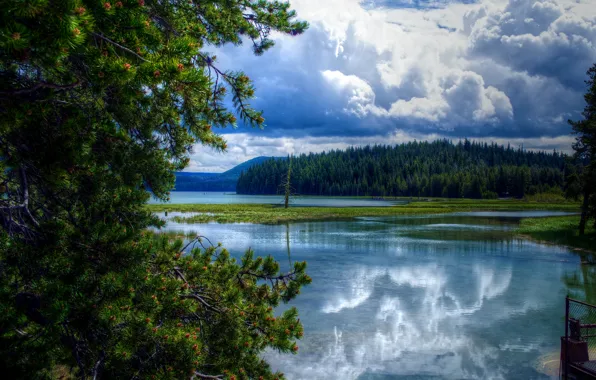 Forest, clouds, trees, clouds, lake, USA, Oregon, East Lake