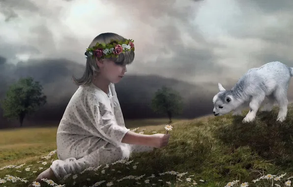 Picture child, Daisies, Sheep, photomanipulate