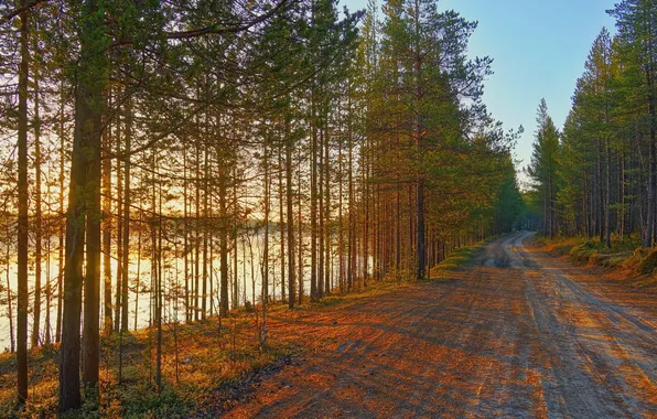 Picture road, forest, landscape, river