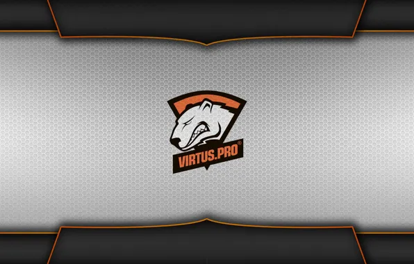 Gamer, team, cs:go, virtus.pro, pro, pro team, pro gamer