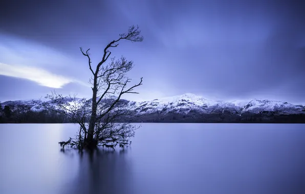 Picture the sky, clouds, snow, mountains, lake, tree
